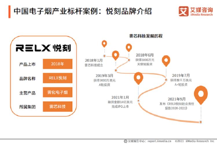 艾媒咨询_2021-2022年全球电子烟产业发展趋势专题报告(图12)