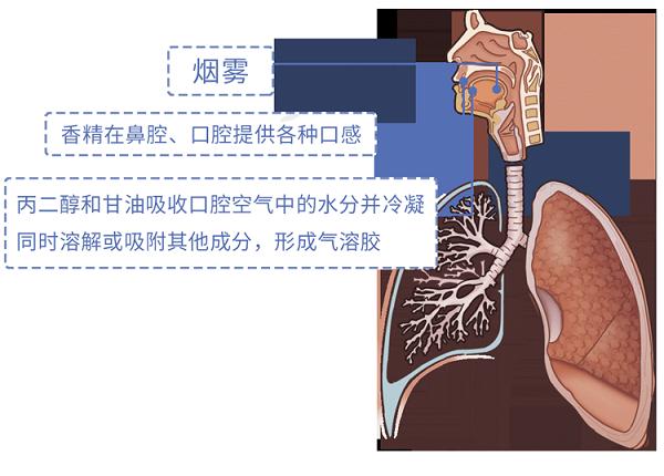 又一个骗局：电子烟的危害，真的比传统烟草大？造谣式科普不可取(图10)