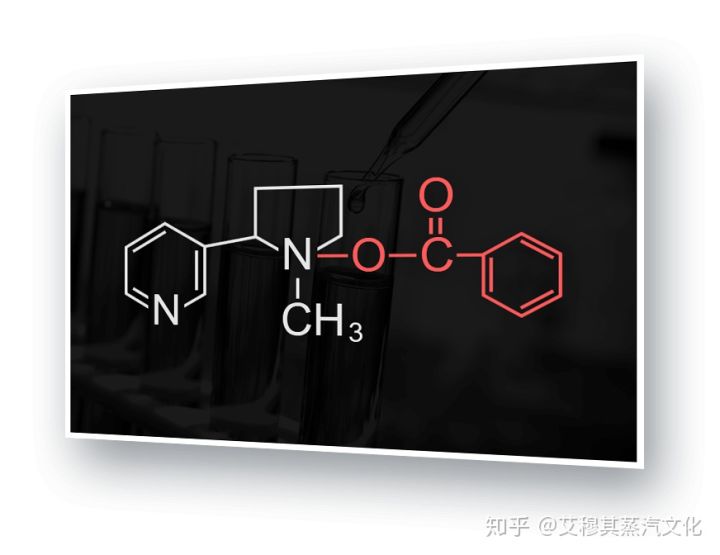 科普如何选择电子烟油的口味和尼古丁含量(图3)