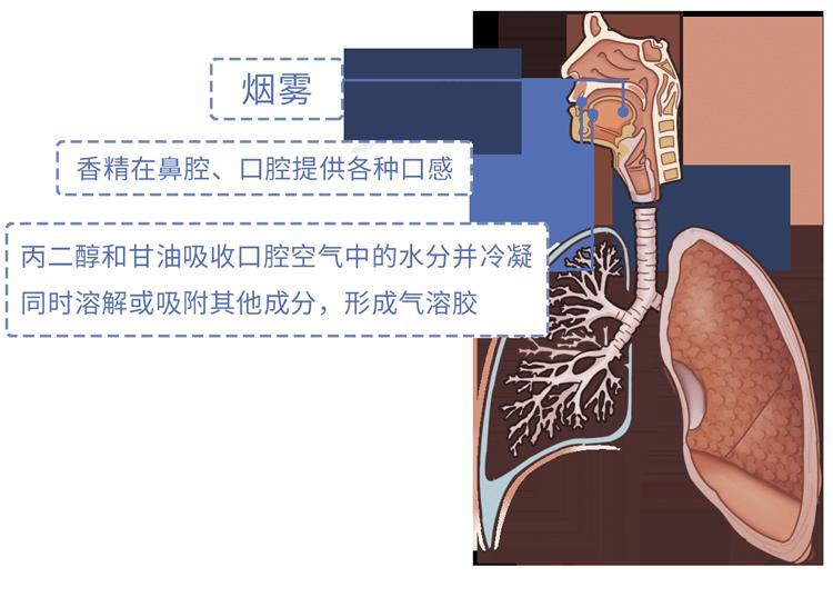 又一个骗局：电子烟的危害，真的比传统烟草大？造谣式科普不可取